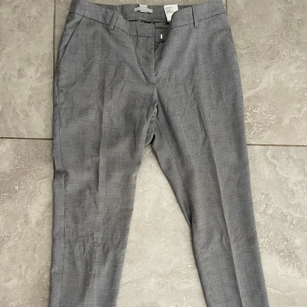 Suit pant